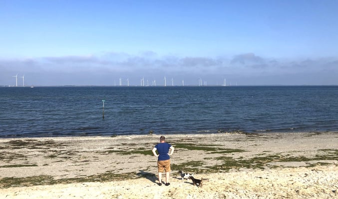 Helpper assistent op het strand