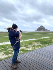 Helpper op vakantie met hond